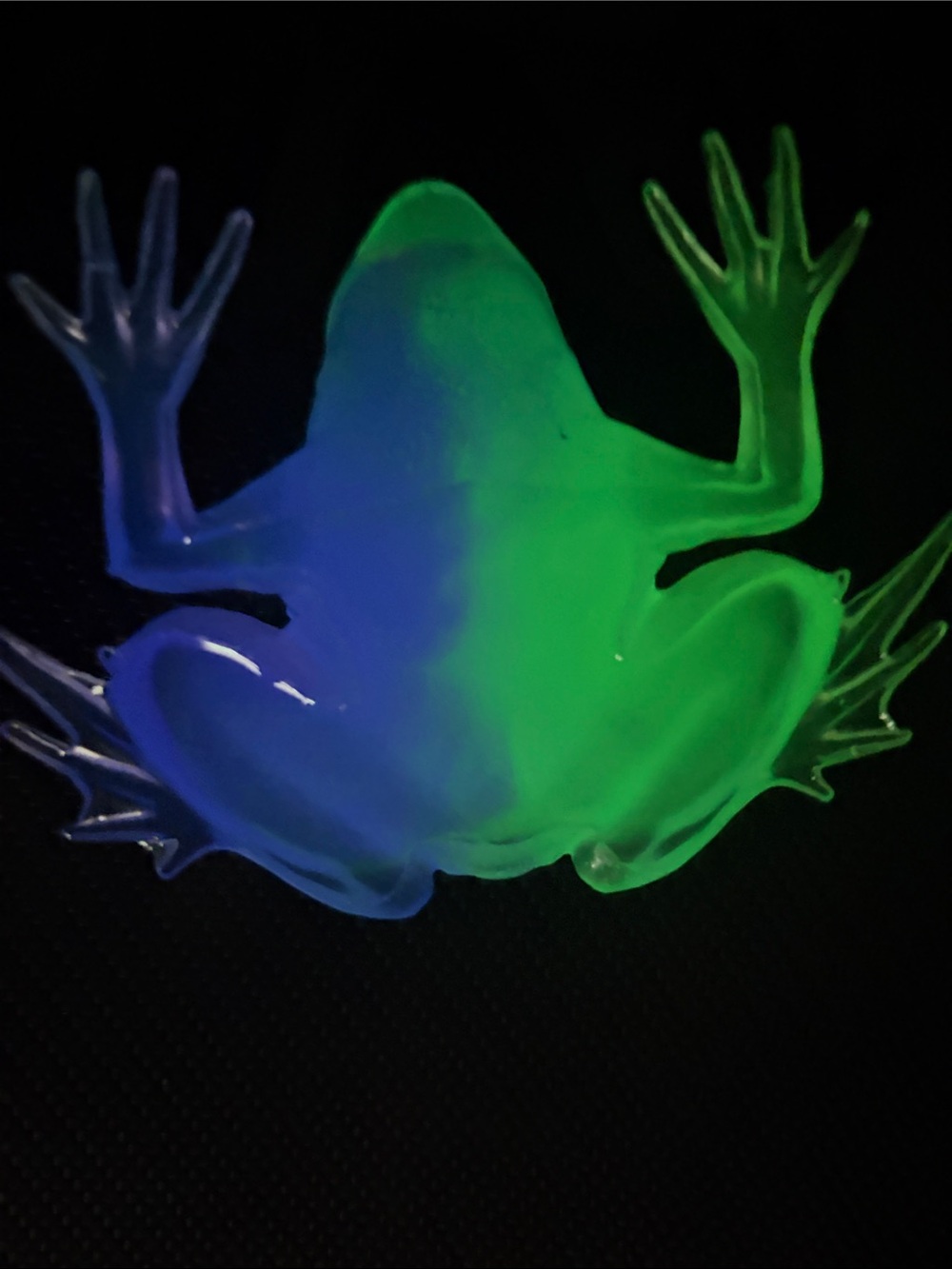 Handmade Glow in the Dark Frog Green & Purple - Picture 5 of 5